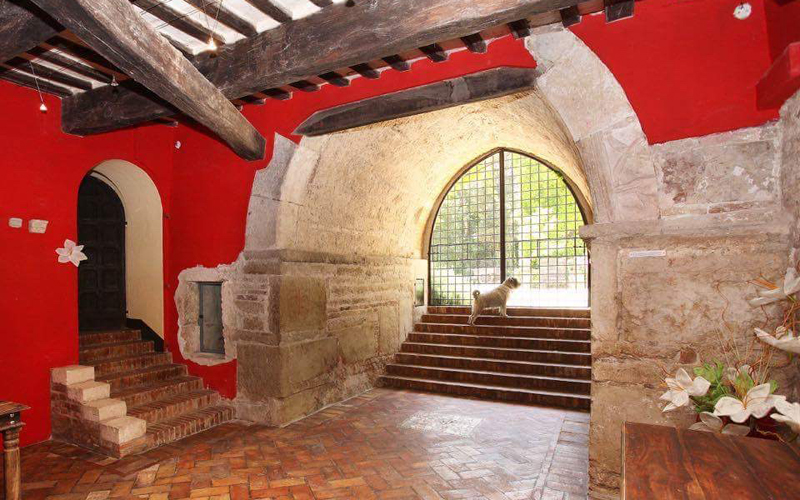 IMG_5330 - Copia IMG_5330 - Copia