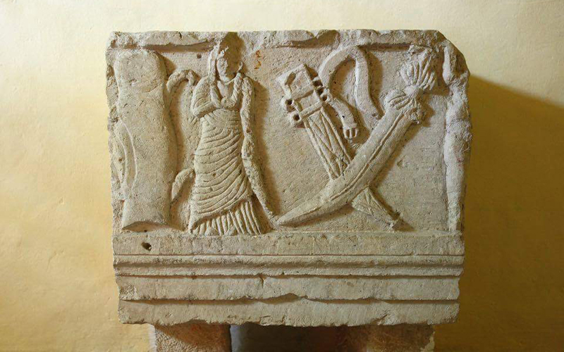 IMG_5331 - Copia IMG_5331 - Copia