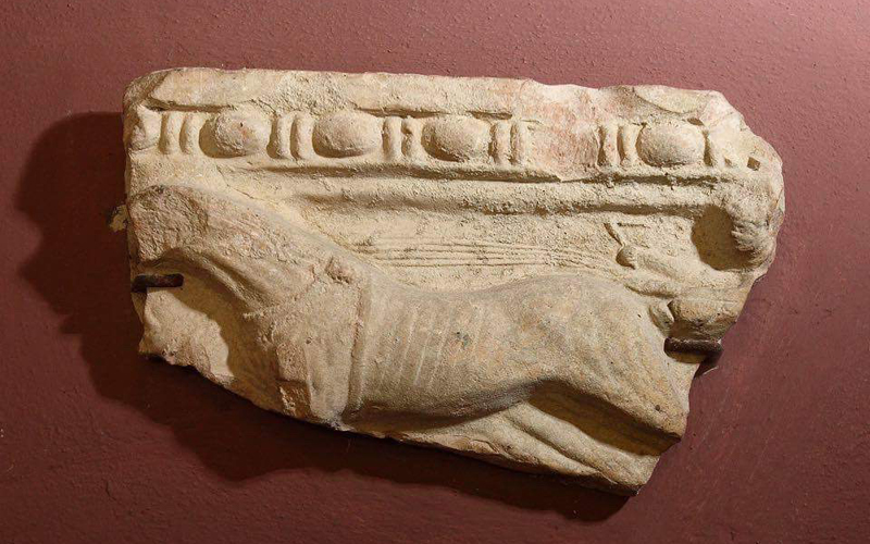 IMG_5333 - Copia IMG_5333 - Copia